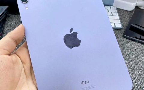 iPad mini – 便携小尺寸平板_百科资料
