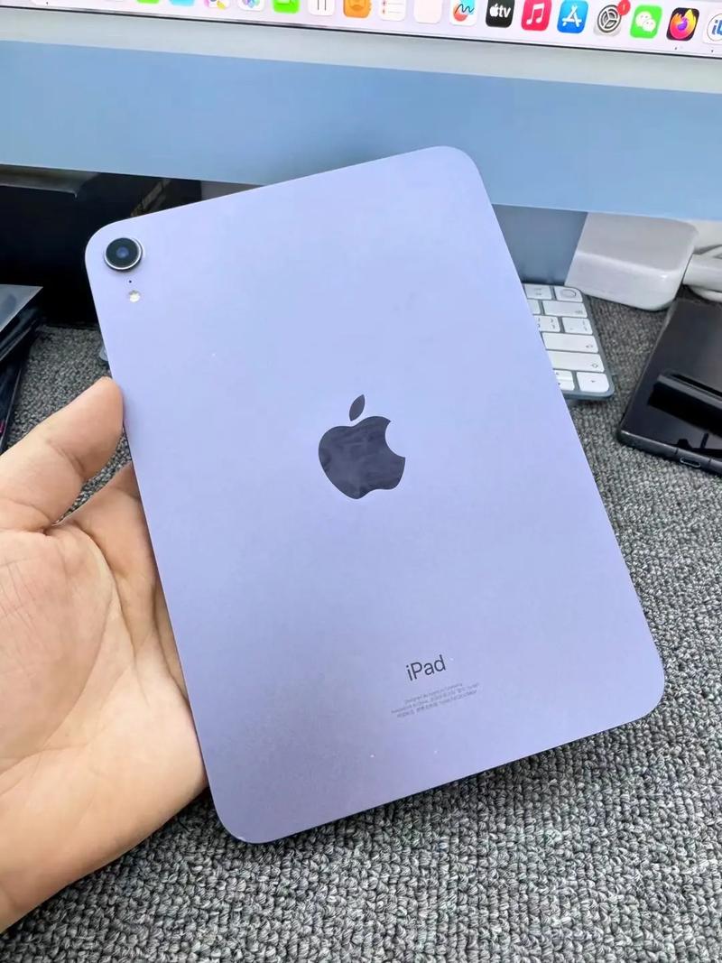 iPad mini - 便携小尺寸平板_百科资料-1