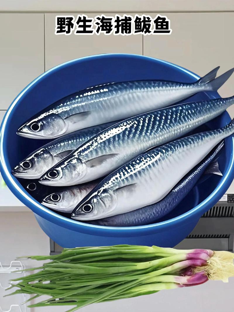 海鲅（Haiba）V5s - 高性能游戏本_资料手册-1