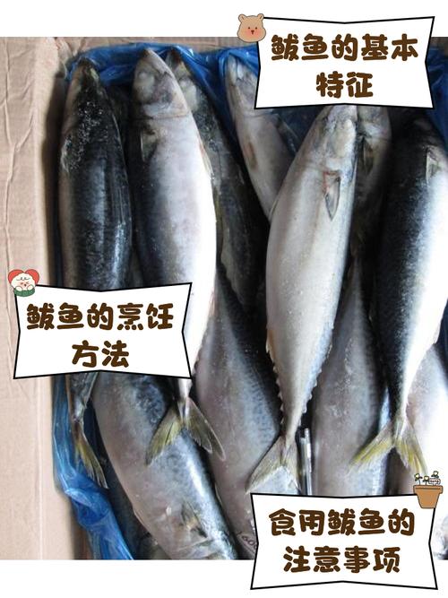 海鲅（Haiba）V5ex - 高性能游戏笔记本_资料大全-4