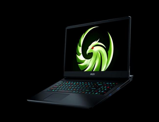 微星（MSI）雷影17 - 高性能游戏本_百科资料-4