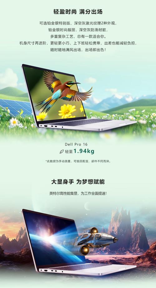 戴尔 Pro 16 (2025款) – 商务AI全能本_百科资料