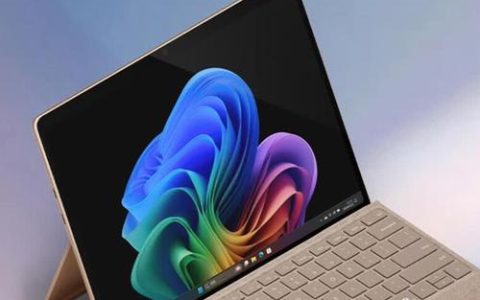 微软（Microsoft）Surface Pro 11 – AI赋能二合一笔记本_百科资料
