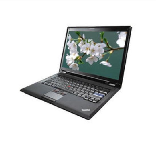 联想（Lenovo）ThinkPad SL300 - 商务办公笔记本_百科资料-2