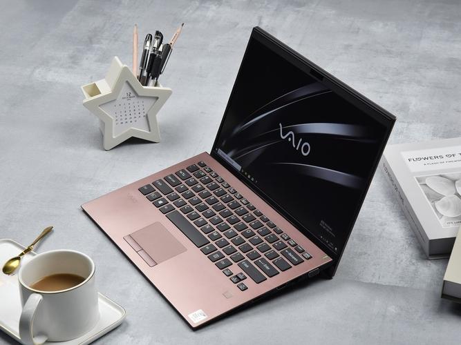 Positivo VAIO SX14 - 轻薄商务笔记本_百科资料-5