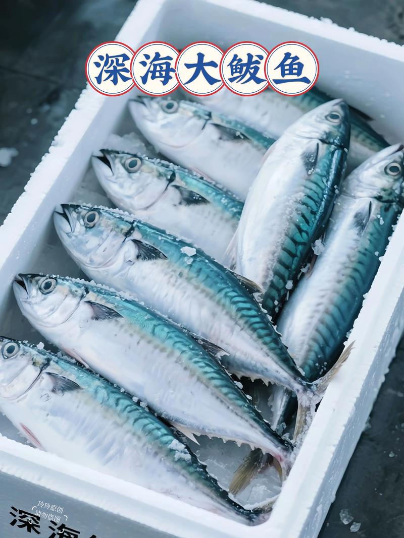 海鲅(Haiba)V7s - 高性能轻薄笔记本_资料手册-3 海鲅(Haiba)V7s - 高性能轻薄笔记本_资料手册-3