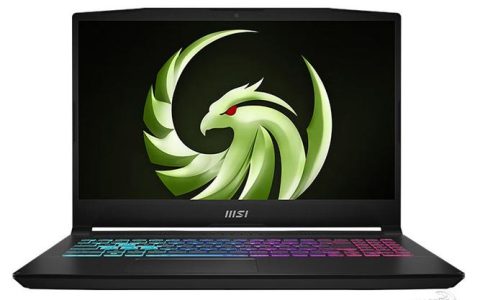 微星（MSI）雷影15 – 高刷电竞游戏本_资料手册