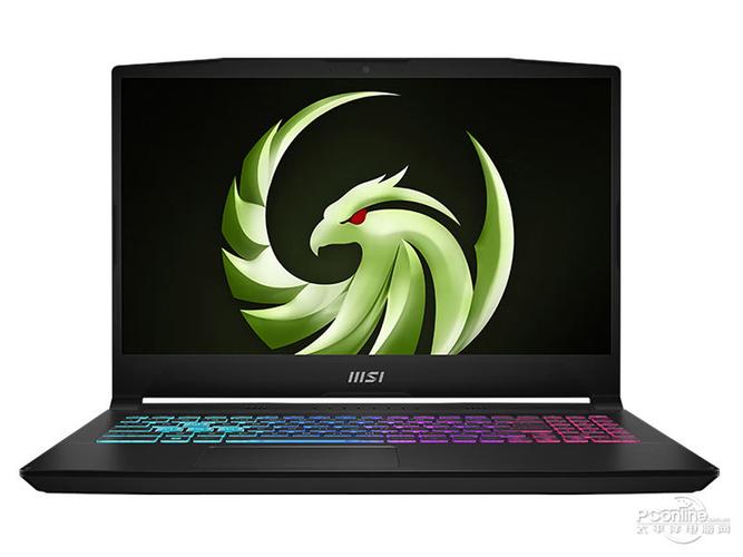 微星（MSI）雷影15 – 高刷电竞游戏本_资料手册
