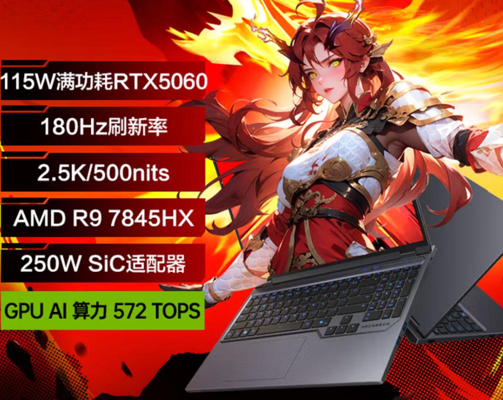 戴尔 Pro 16 (2025款) - 商务AI全能本_百科资料-4