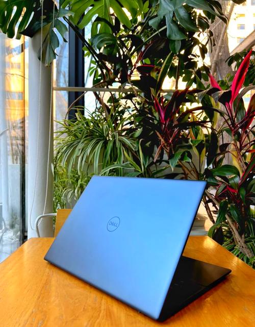 戴尔 Pro 16 PC16255 - 专业高性能笔记本_百科资料-4