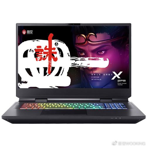 吾空X Pro诛神 - 高性能电竞游戏本_资料手册-1 吾空X Pro诛神 - 高性能电竞游戏本_资料手册-1
