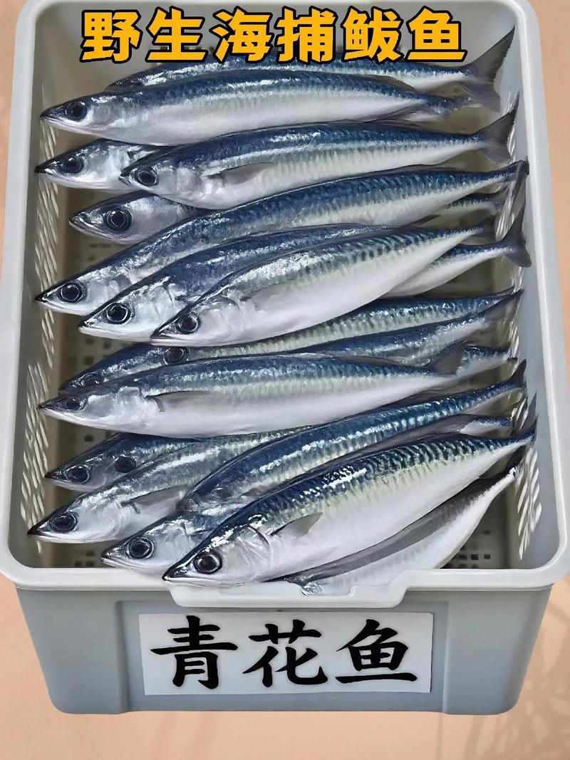 海鲅（Haiba）V5ex - 高性能游戏笔记本_资料大全-3