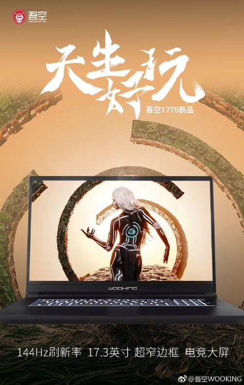 吾空（Wooking）17T5净坛1 - 高性能游戏笔记本_资料库-2