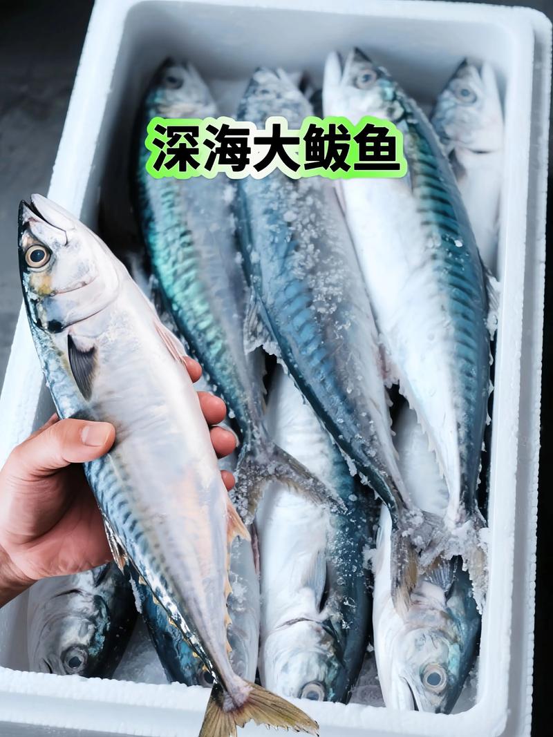 海鲅（Haiba）V5ex - 高性能游戏笔记本_资料大全-2