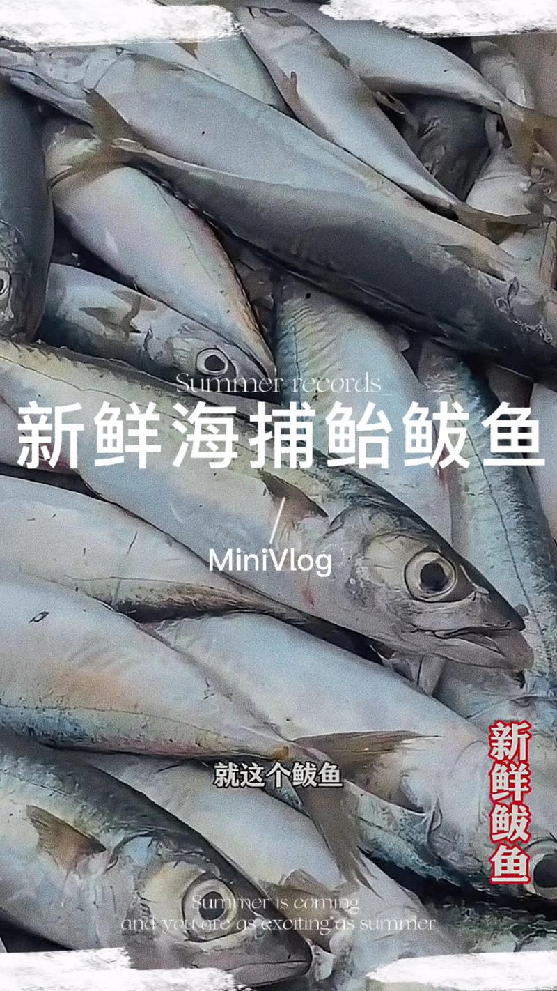海鲅(Haiba)V7x - 高性能轻薄本_百科资料-5 海鲅(Haiba)V7x - 高性能轻薄本_百科资料-5