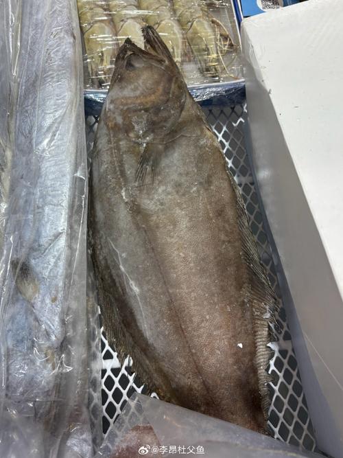 海鲅（Haiba）V4x - 高性能游戏笔记本_资料手册-3