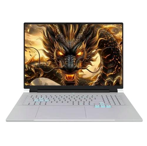 机械革命（MECHREVO）苍龙18 Pro - 高性能电竞游戏本_资料手册-2