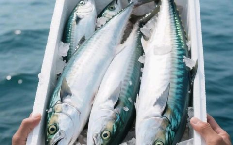 海鲅（Haiba）V5ex – 高性能游戏笔记本_资料大全
