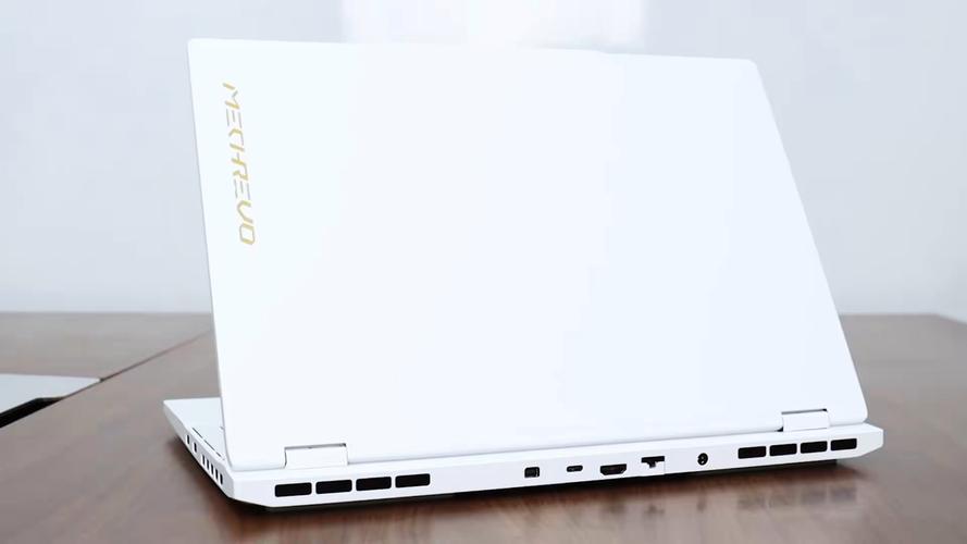 机械革命（MECHREVO）翼龙15 Pro - 高性能游戏笔记本_资料手册-5