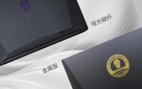未来人类X599 – 高性能电竞游戏本_百科资料
