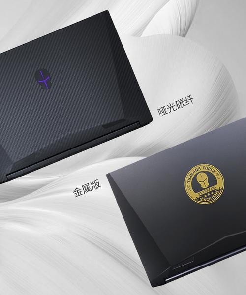未来人类X599 – 高性能电竞游戏本_百科资料