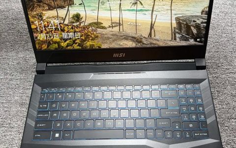微星（MSI）GL66 – 高性能游戏笔记本_资料库