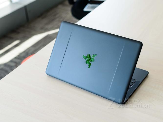 雷蛇（Razer）灵刃潜行版 - 高性能轻薄游戏本_资料集锦-5