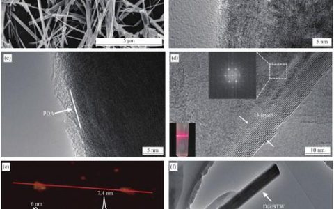 Medion E15443 – 轻薄便携笔记本_百科资料