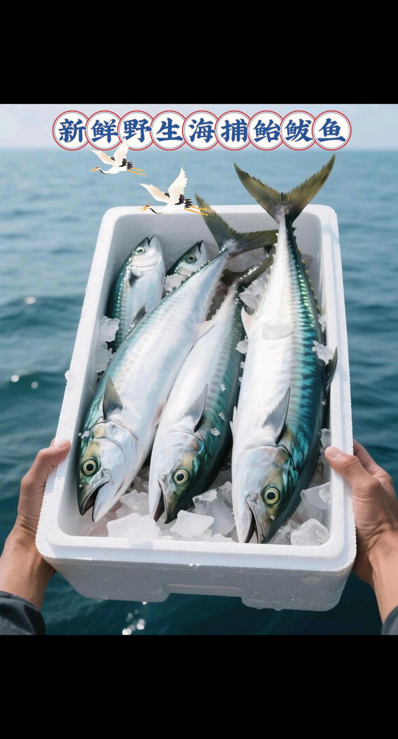 海鲅(Haiba)V7s - 高性能轻薄笔记本_资料手册-4 海鲅(Haiba)V7s - 高性能轻薄笔记本_资料手册-4