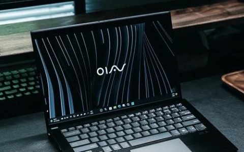 Positivo VAIO SX14 – 轻薄商务笔记本_百科资料