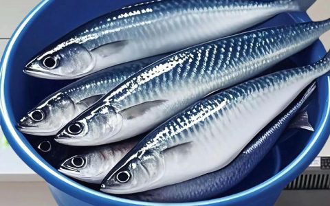 海鲅（Haiba）V7s – 高性能轻薄笔记本_资料手册